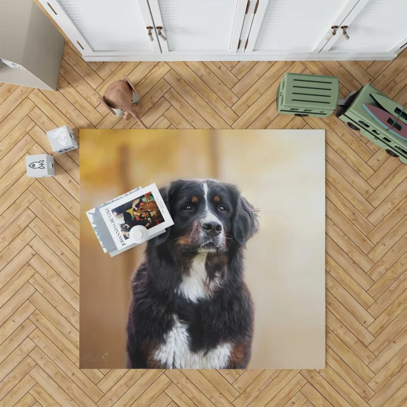 Bernese Majesty: Bernese Mountain Dog Floor Rug