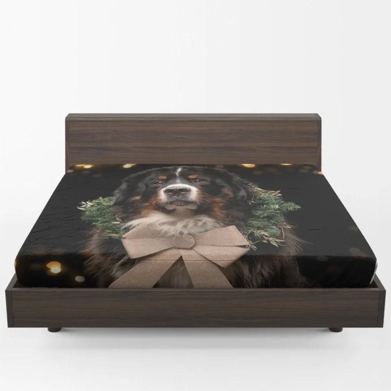 Bernese Majesty in Brave Dog: Bernese Mountain Dog Fitted Sheet 1