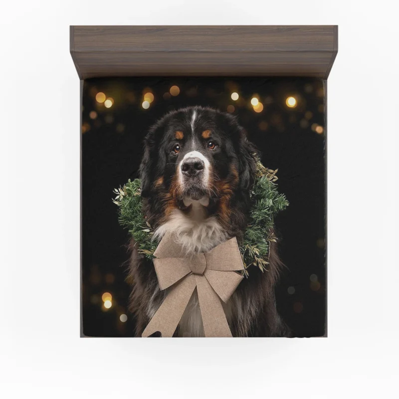 Bernese Majesty in Brave Dog: Bernese Mountain Dog Fitted Sheet