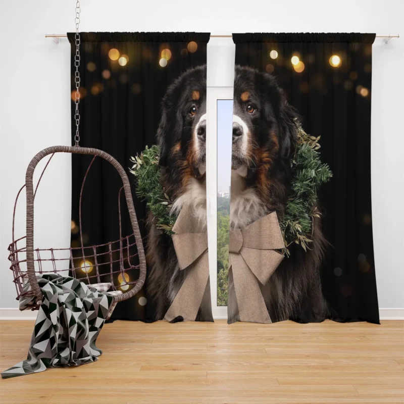 Bernese Majesty in Brave Dog: Bernese Mountain Dog Window Curtain