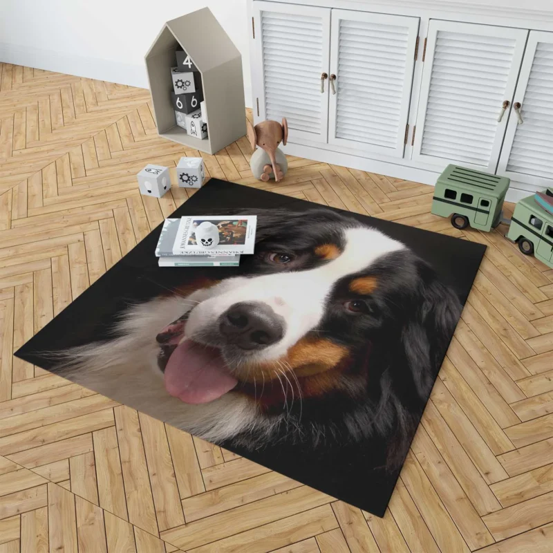 Bernese Mountain Dog Beauty: Bernese Mountain Dog Floor Rug 1