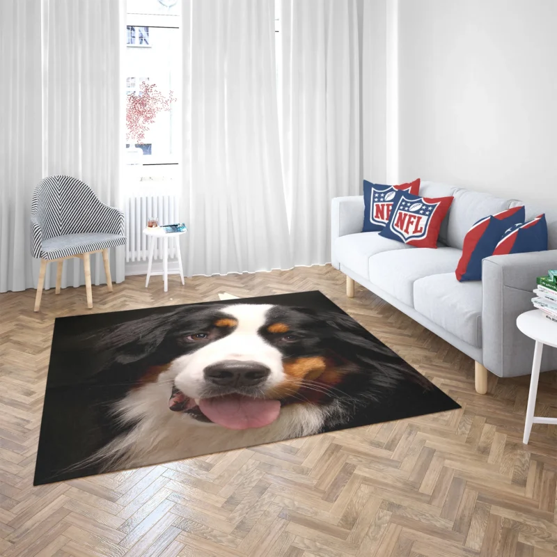 Bernese Mountain Dog Beauty: Bernese Mountain Dog Floor Rug 2