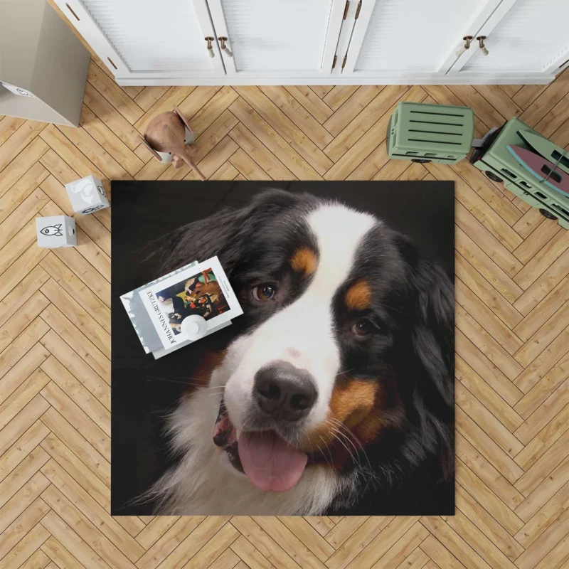 Bernese Mountain Dog Beauty: Bernese Mountain Dog Floor Rug