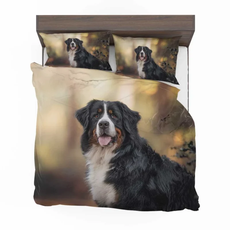 Bernese Mountain Dog Beauty in Snow with Depth Of Field and Sennenhund Bedding Set 1