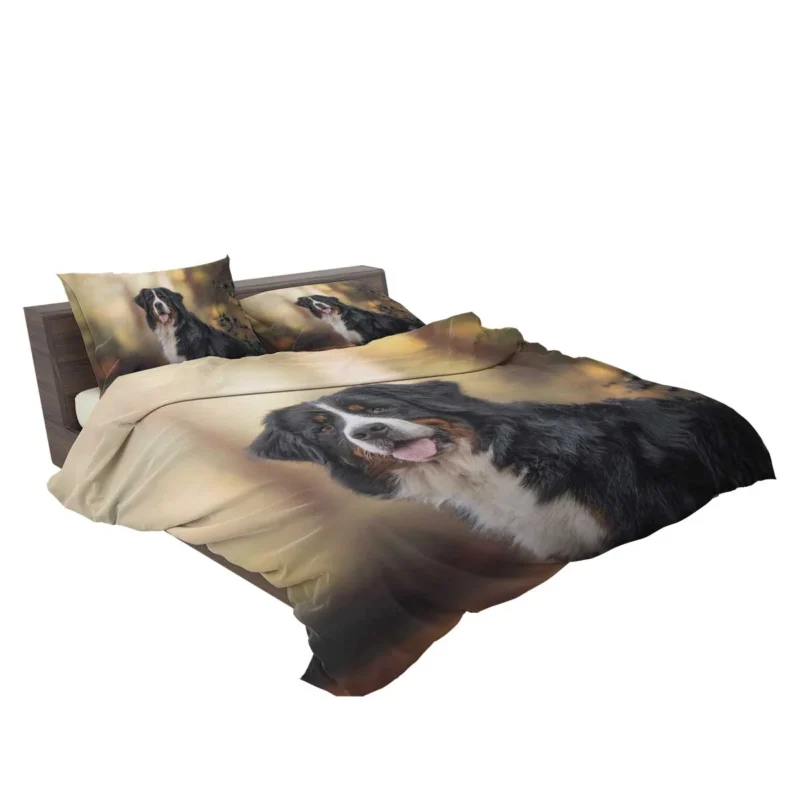 Bernese Mountain Dog Beauty in Snow with Depth Of Field and Sennenhund Bedding Set 2