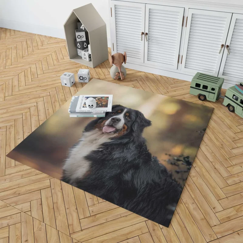 Bernese Mountain Dog Beauty in Snow with Depth Of Field and Sennenhund Floor Rug 1