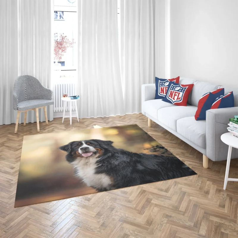 Bernese Mountain Dog Beauty in Snow with Depth Of Field and Sennenhund Floor Rug 2