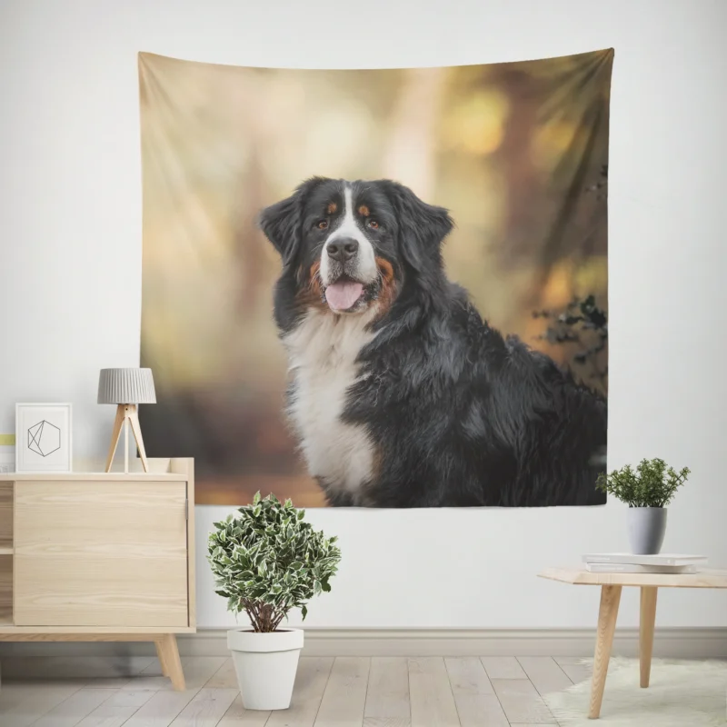 Bernese Mountain Dog Beauty in Snow with Depth Of Field and Sennenhund Wall Tapestry