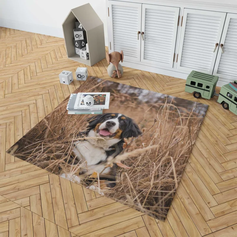 Bernese Mountain Dog Splendor: Bernese Mountain Dog Floor Rug 1