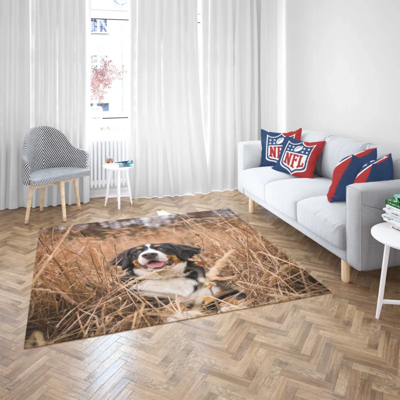 Bernese Mountain Dog Splendor: Bernese Mountain Dog Floor Rug 2