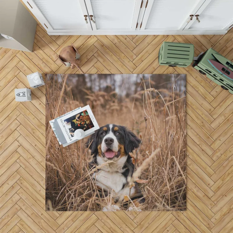 Bernese Mountain Dog Splendor: Bernese Mountain Dog Floor Rug