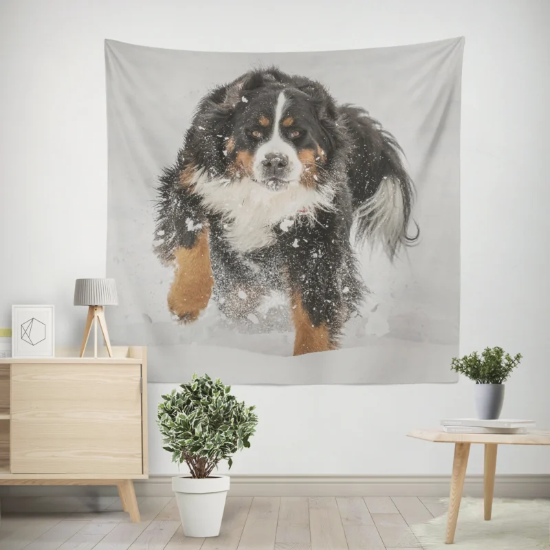 Bernese Mountain Dog Winter Beauty with Snow Wall Tapestry