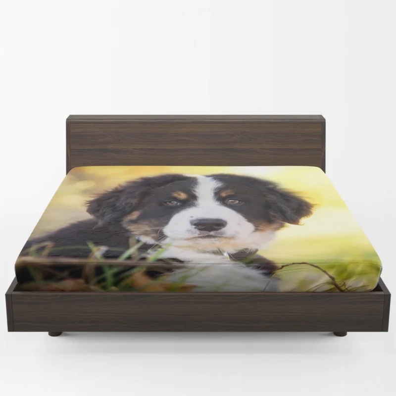 Bernese Pups Amidst Bokeh Magic: Sennenhund Quartet Fitted Sheet 1