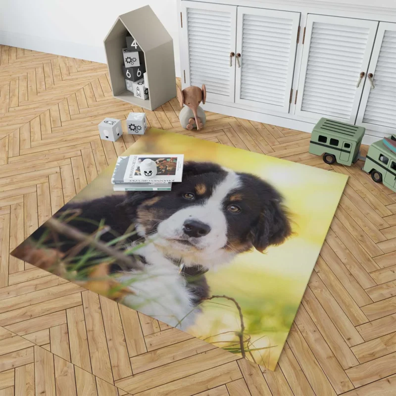 Bernese Pups Amidst Bokeh Magic: Sennenhund Quartet Floor Rug 1