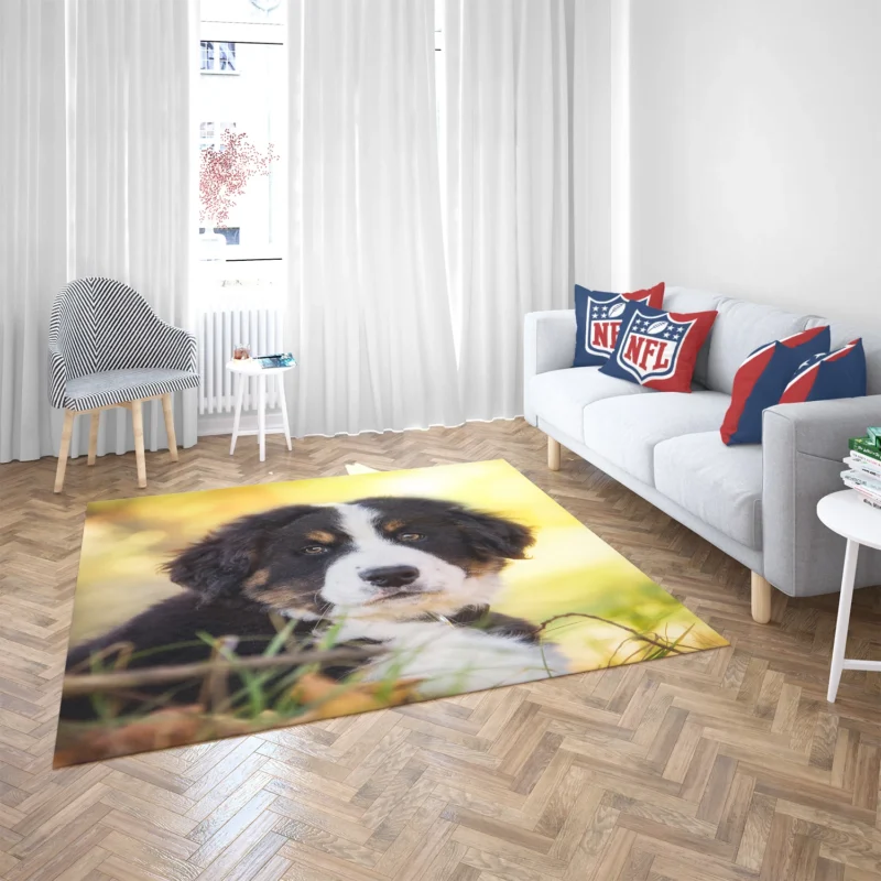 Bernese Pups Amidst Bokeh Magic: Sennenhund Quartet Floor Rug 2