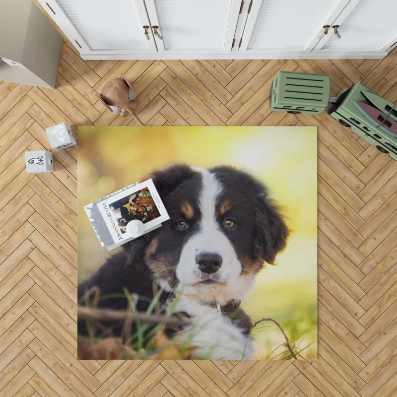 Bernese Pups Amidst Bokeh Magic: Sennenhund Quartet Floor Rug