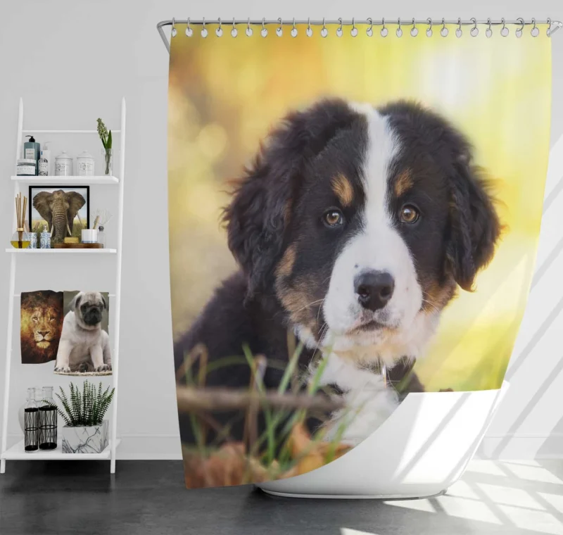 Bernese Pups Amidst Bokeh Magic: Sennenhund Quartet Shower Curtain