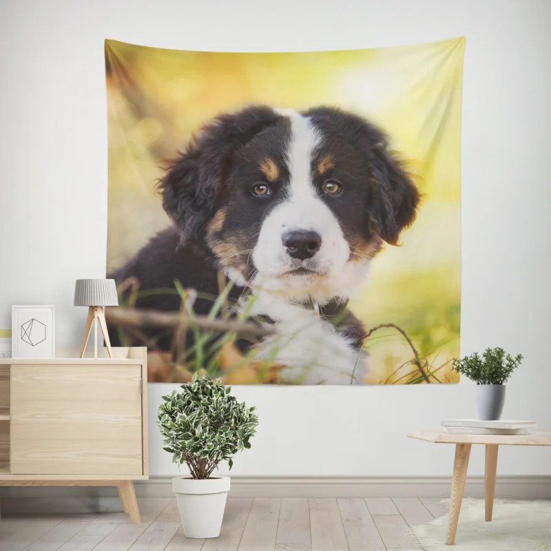 Bernese Pups Amidst Bokeh Magic  Sennenhund Quartet Wall Tapestry