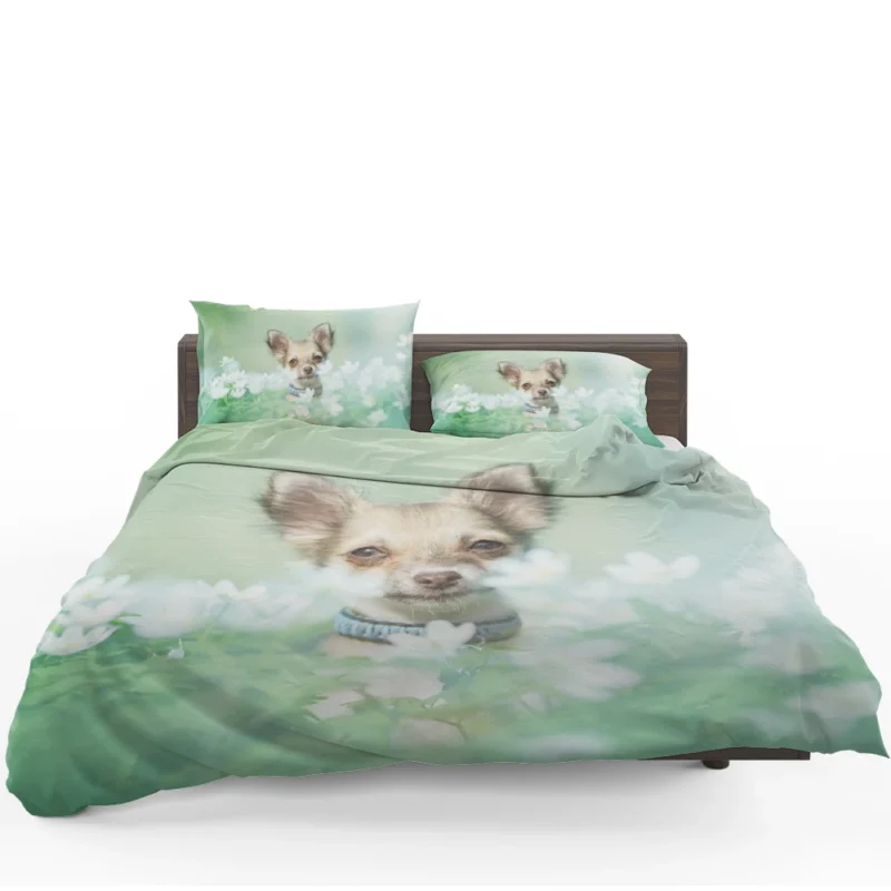 Blooms and Chihuahua Beauty: Chihuahua Quartet Bedding Set