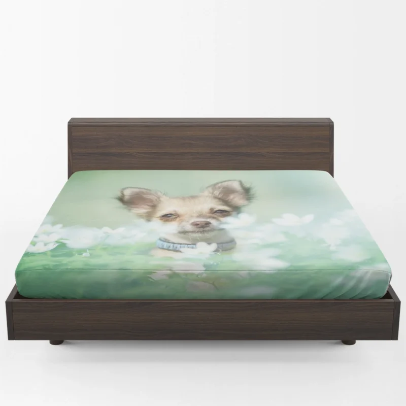 Blooms and Chihuahua Beauty: Chihuahua Quartet Fitted Sheet 1