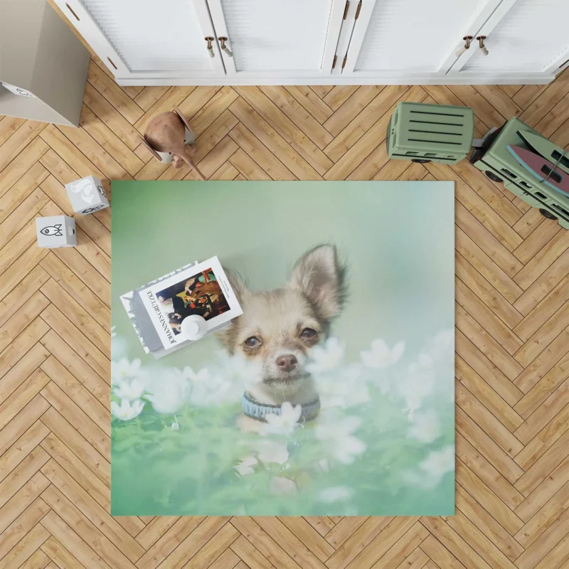 Blooms and Chihuahua Beauty: Chihuahua Quartet Floor Rug