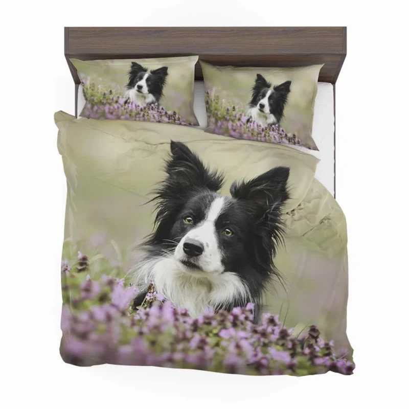 Blossom Beauty with Border Collie in Bokeh Bedding Set 1