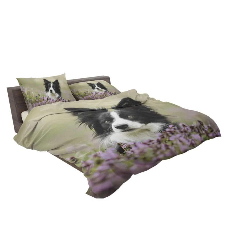 Blossom Beauty with Border Collie in Bokeh Bedding Set 2
