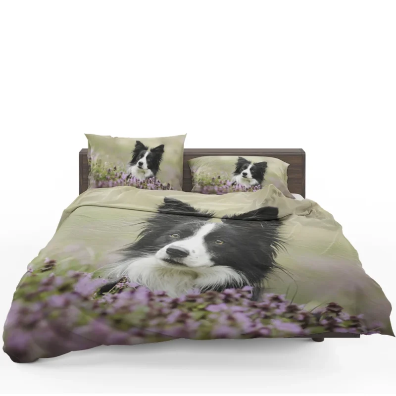 Blossom Beauty with Border Collie in Bokeh Bedding Set