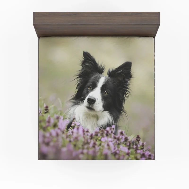 Blossom Beauty with Border Collie in Bokeh Fitted Sheet