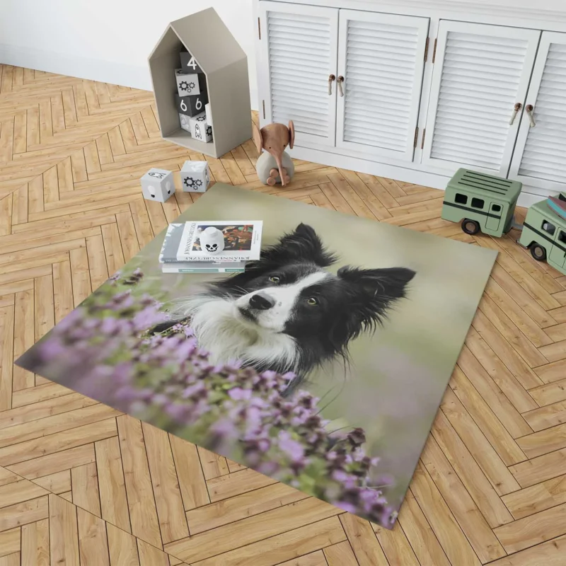 Blossom Beauty with Border Collie in Bokeh Floor Rug 1