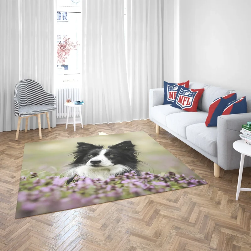 Blossom Beauty with Border Collie in Bokeh Floor Rug 2