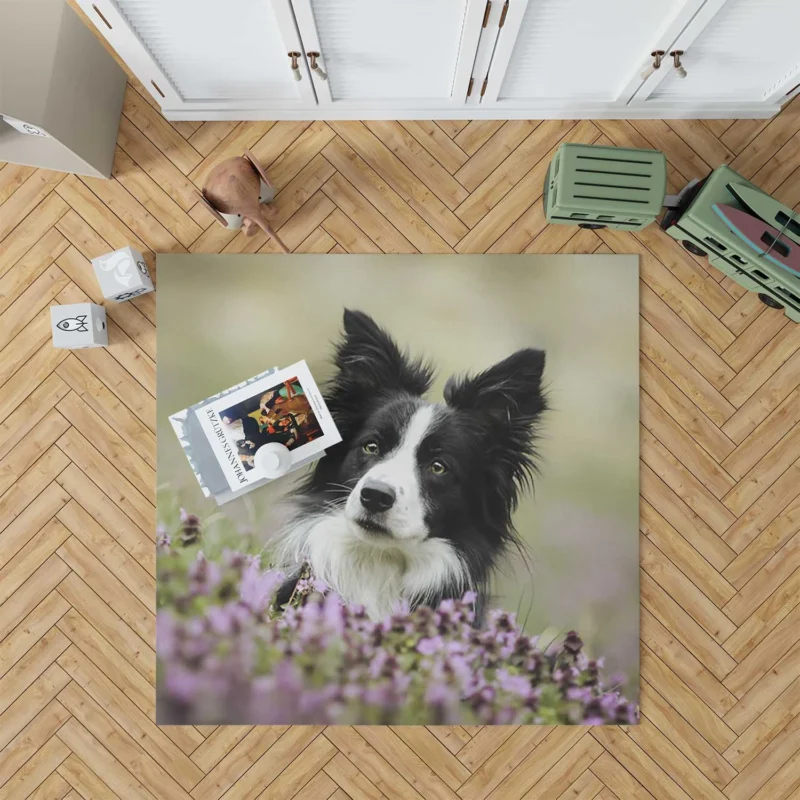 Blossom Beauty with Border Collie in Bokeh Floor Rug