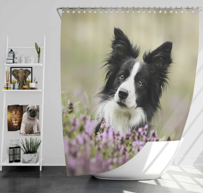 Blossom Beauty with Border Collie in Bokeh Shower Curtain