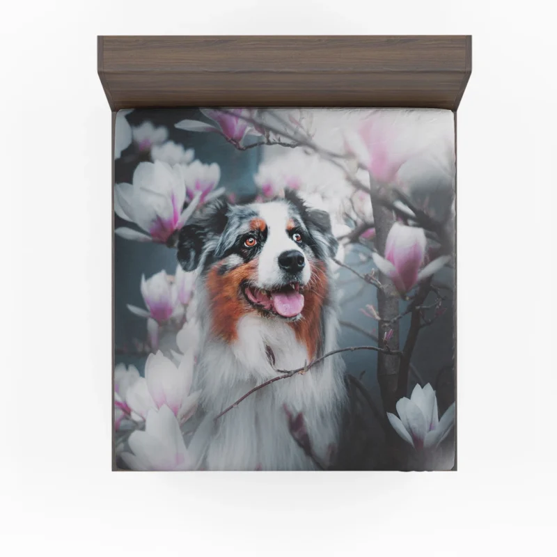 Blossom Flower with Muzzle: Australian Shepherd Fitted Sheet