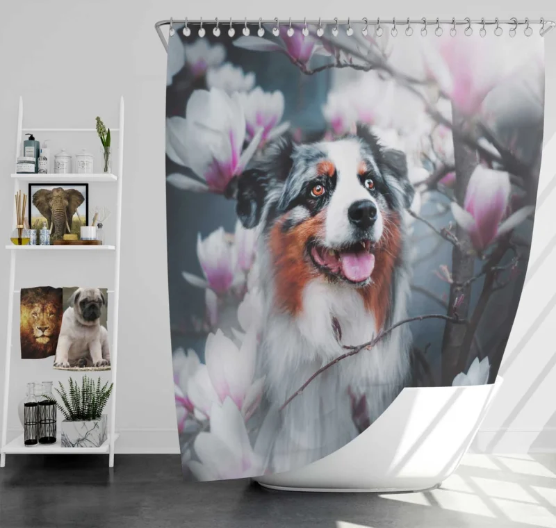 Blossom Flower with Muzzle: Australian Shepherd Shower Curtain