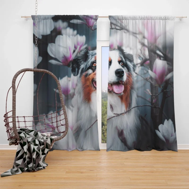 Blossom Flower with Muzzle: Australian Shepherd Window Curtain