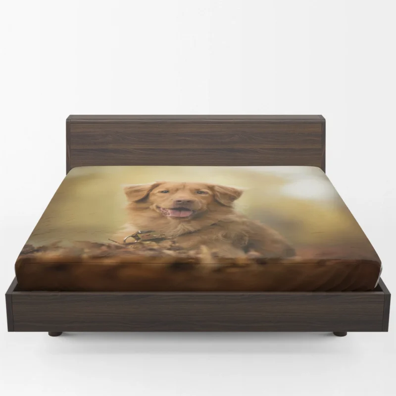 Blossom Muzzle Quartet: Nova Scotia Duck Tolling Retriever Fitted Sheet 1