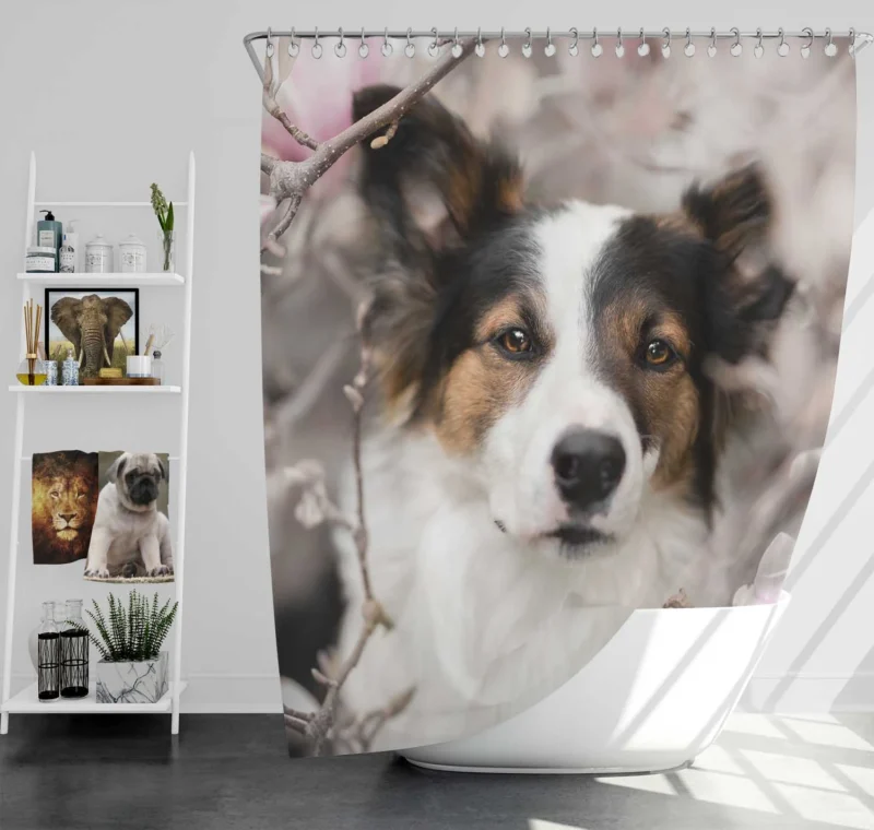 Blossom and Beauty: Australian Shepherd Shower Curtain