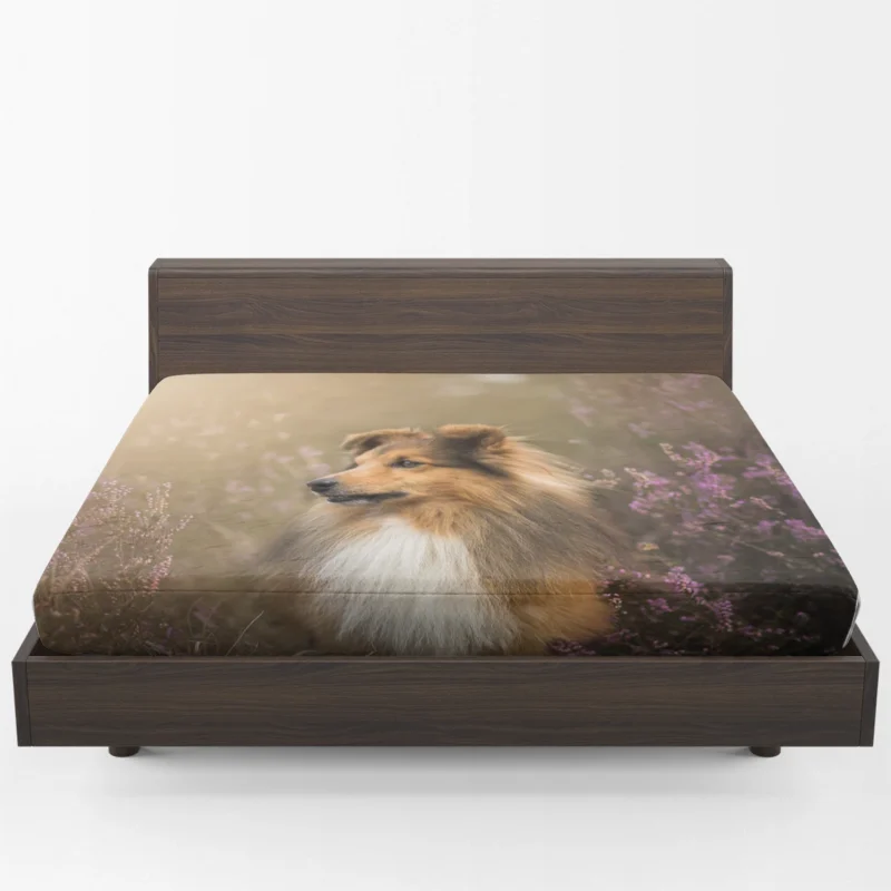 Blossoming Beauty: Shetland Sheepdog Quartet Fitted Sheet 1