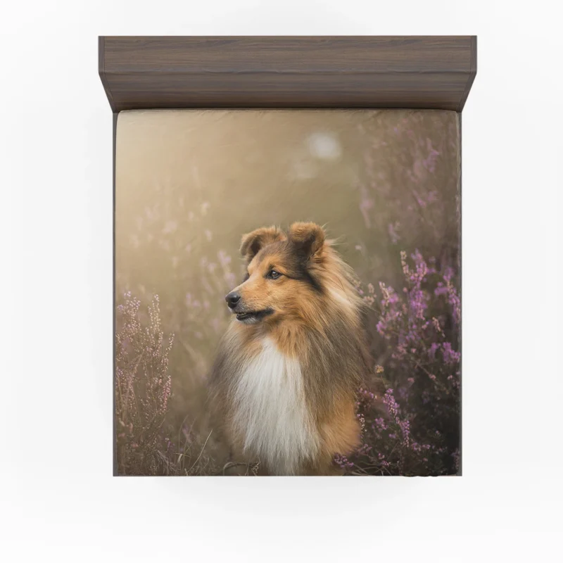 Blossoming Beauty: Shetland Sheepdog Quartet Fitted Sheet