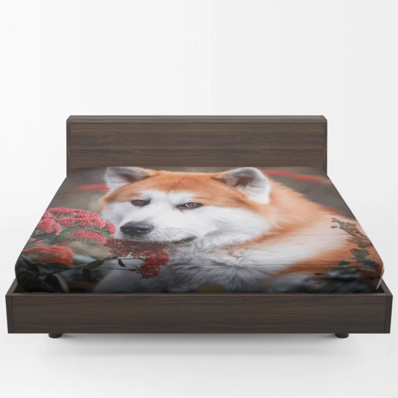Blossoms and Beauty: The Akita Quartet Fitted Sheet 1