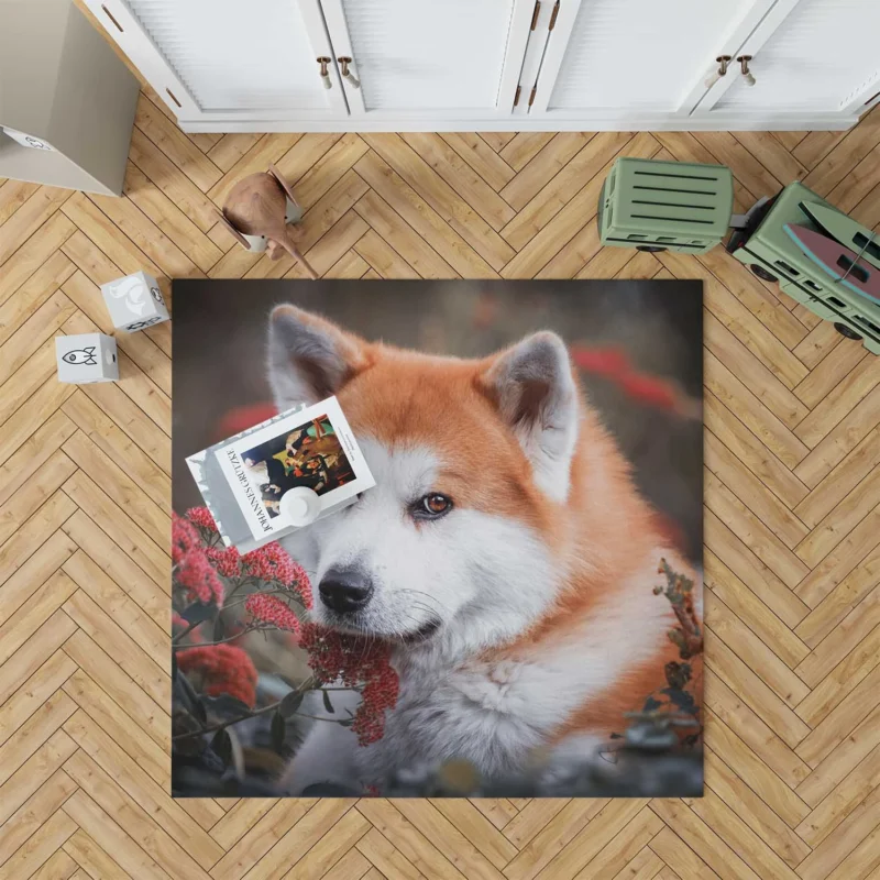 Blossoms and Beauty: The Akita Quartet Floor Rug