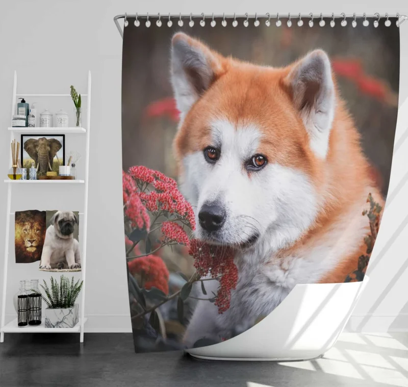 Blossoms and Beauty: The Akita Quartet Shower Curtain