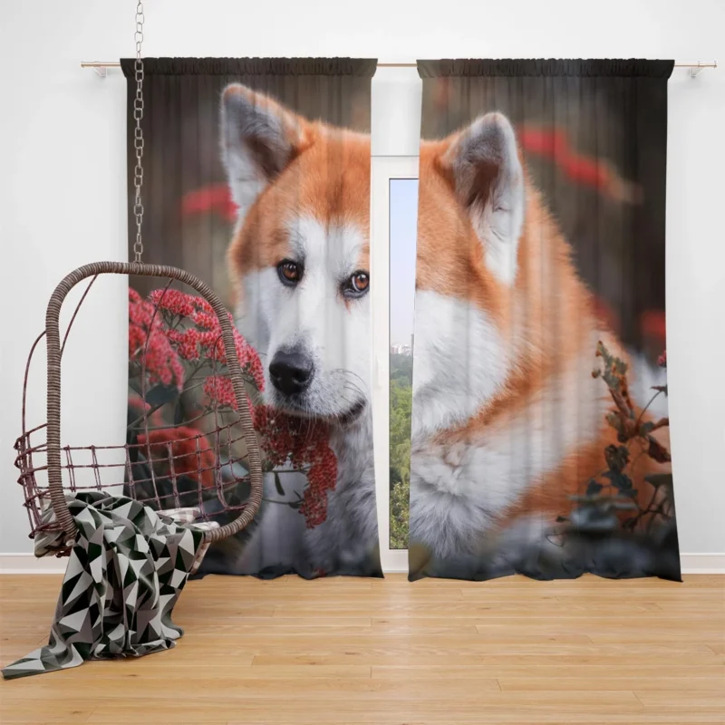 Blossoms and Beauty: The Akita Quartet Window Curtain