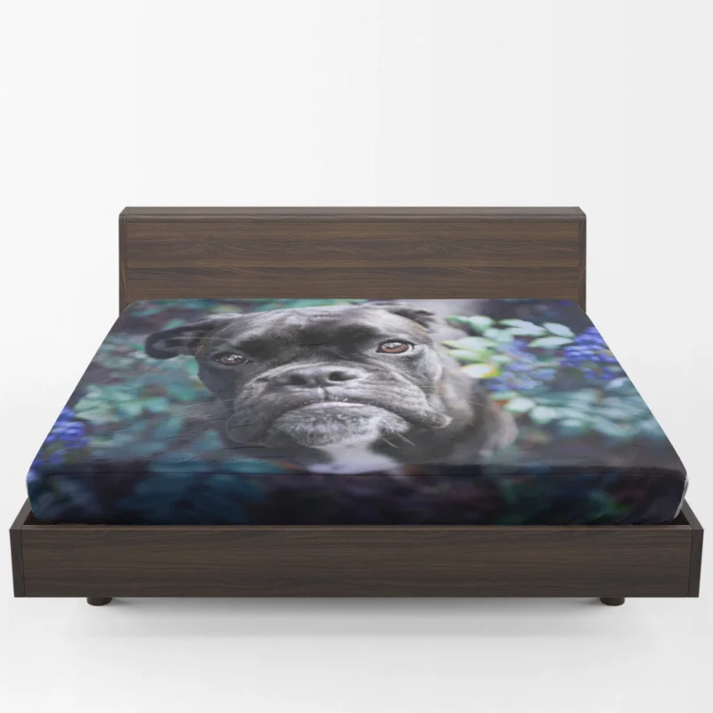 Blossoms and Bulldog Beauty: Bulldog Quartet Fitted Sheet 1