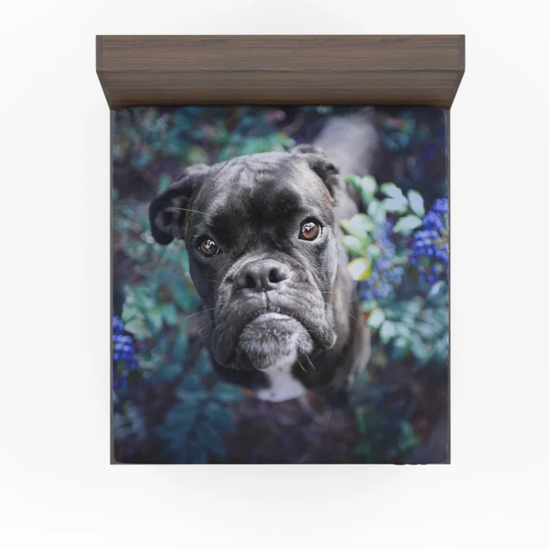 Blossoms and Bulldog Beauty: Bulldog Quartet Fitted Sheet