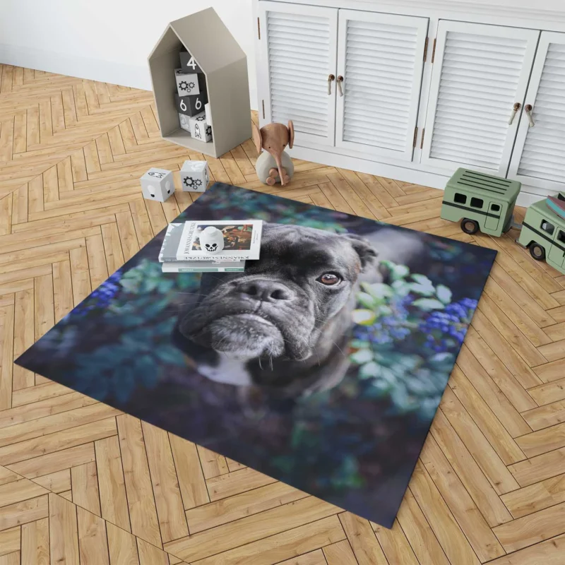 Blossoms and Bulldog Beauty: Bulldog Quartet Floor Rug 1