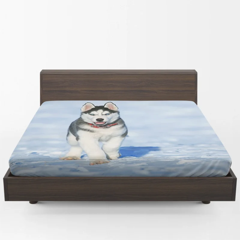 Blue-Eyed Quartet: Cute Husky Puppies in Snow Fitted Sheet 1