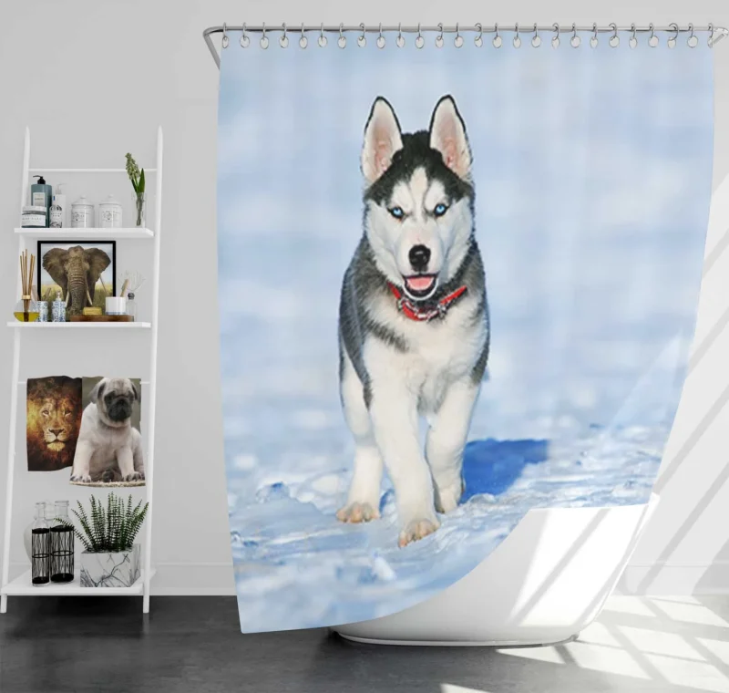 Blue-Eyed Quartet: Cute Husky Puppies in Snow Shower Curtain