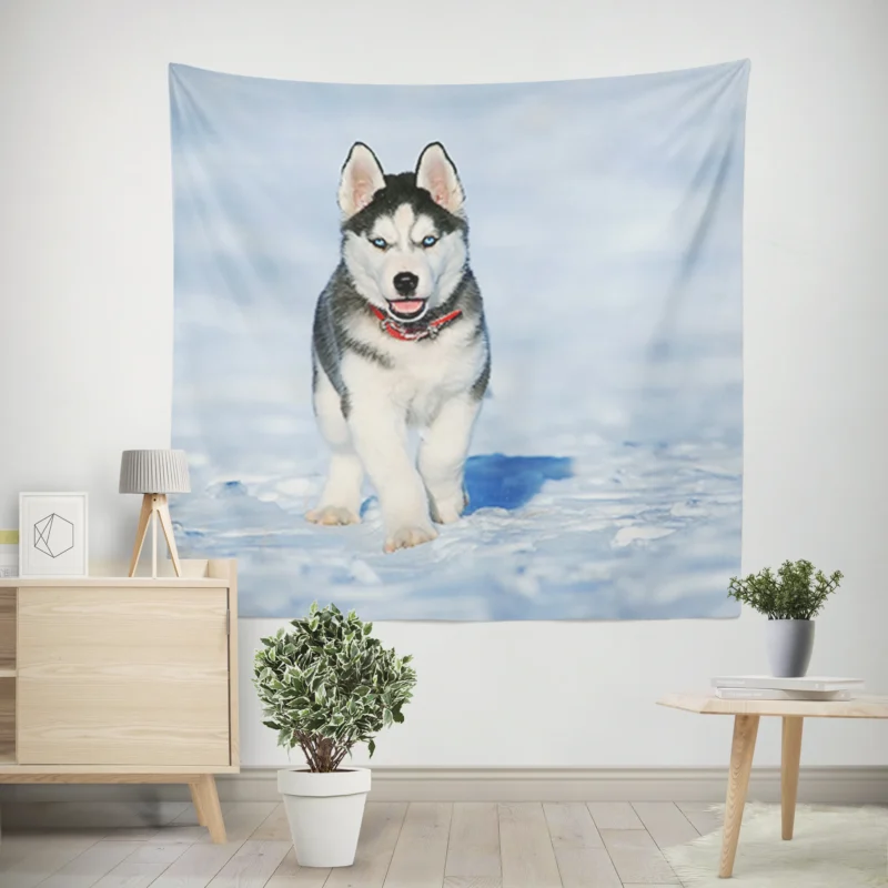 Blue-Eyed Quartet  Cute Husky Puppies in Snow Wall Tapestry